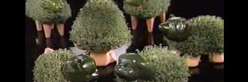 Who Invented the Chia Pet Who Invented the Chia Pet